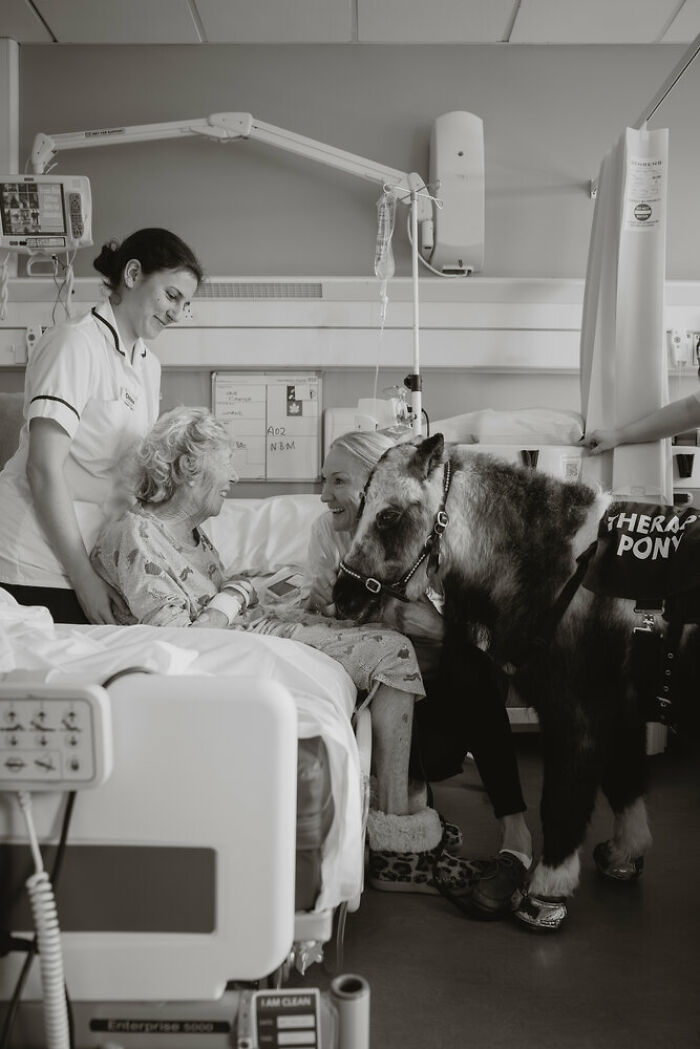 These 60 Non-Pro Photographers Absolutely Nailed It!