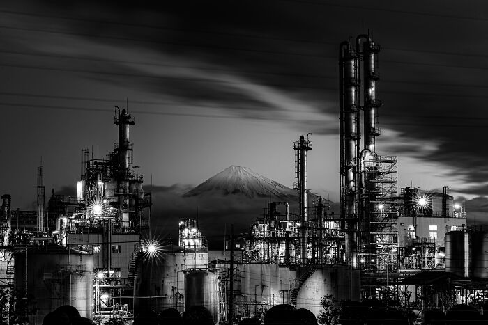 These 60 Non-Pro Photographers Absolutely Nailed It!