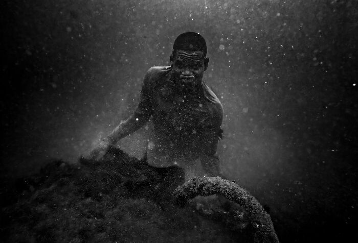 These 60 Non-Pro Photographers Absolutely Nailed It!