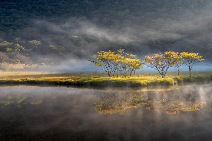 These 60 Non-Pro Photographers Absolutely Nailed It!