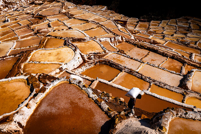 These 60 Non-Pro Photographers Absolutely Nailed It!