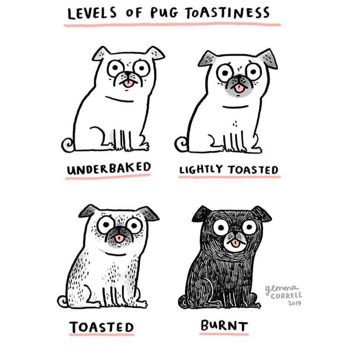 Why Pugs Are Basically Tiny, Wrinkly Bosses—37 Comics That Nail It