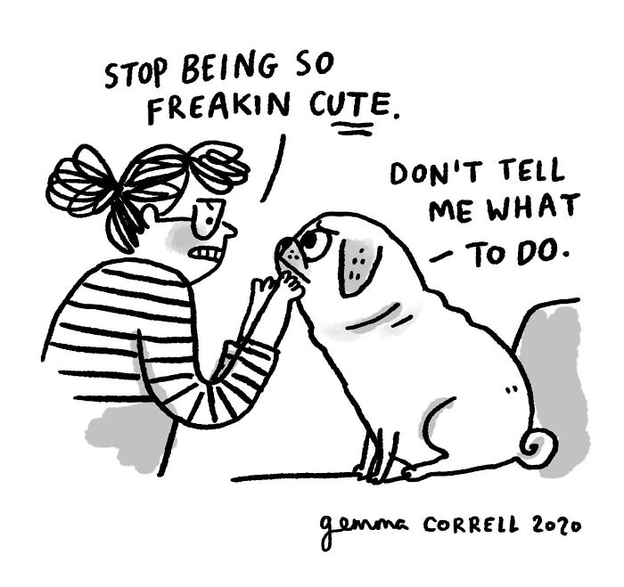 Why Pugs Are Basically Tiny, Wrinkly Bosses—37 Comics That Nail It