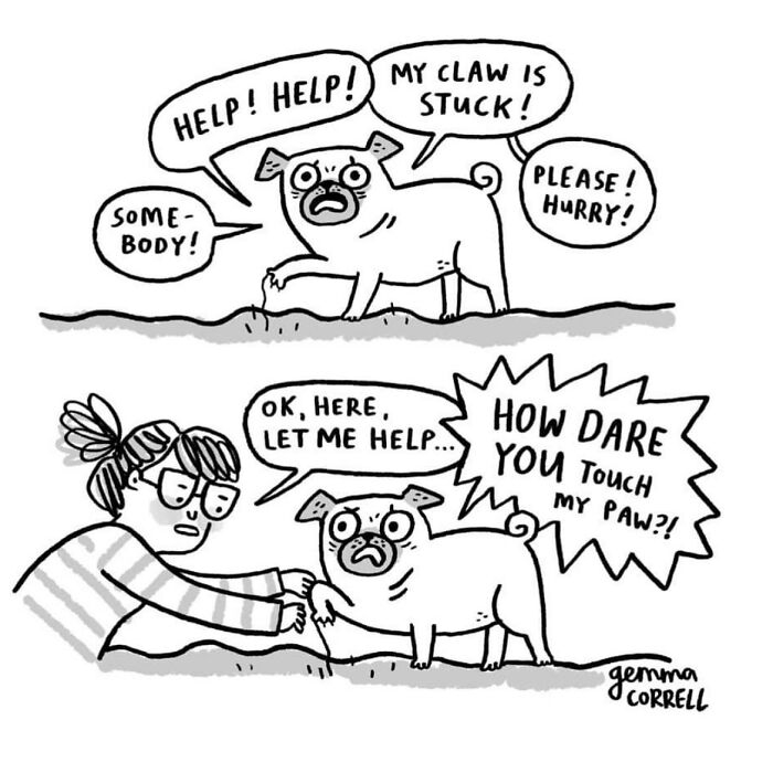Why Pugs Are Basically Tiny, Wrinkly Bosses—37 Comics That Nail It