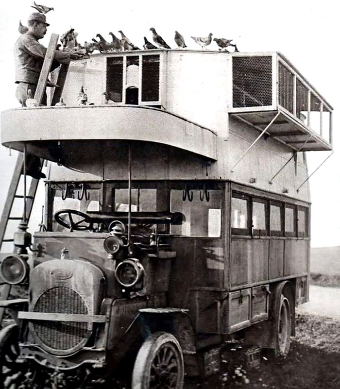 Pigeon Bus? Yep, That Was a Thing in WWI