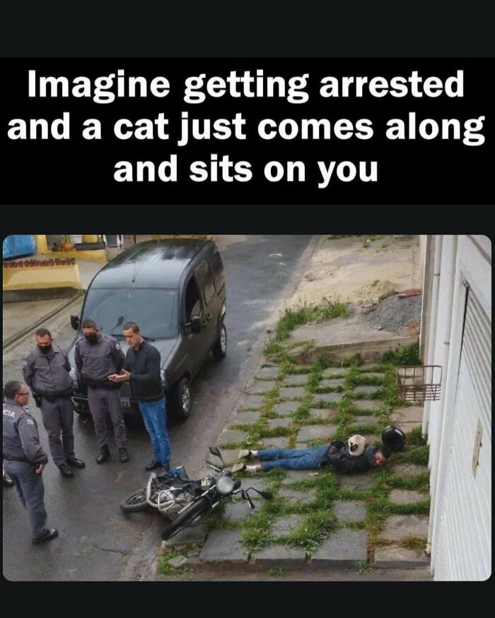 Wait, They Actually Made These Memes? The Most Random Laughs You Didn’t Know You Needed