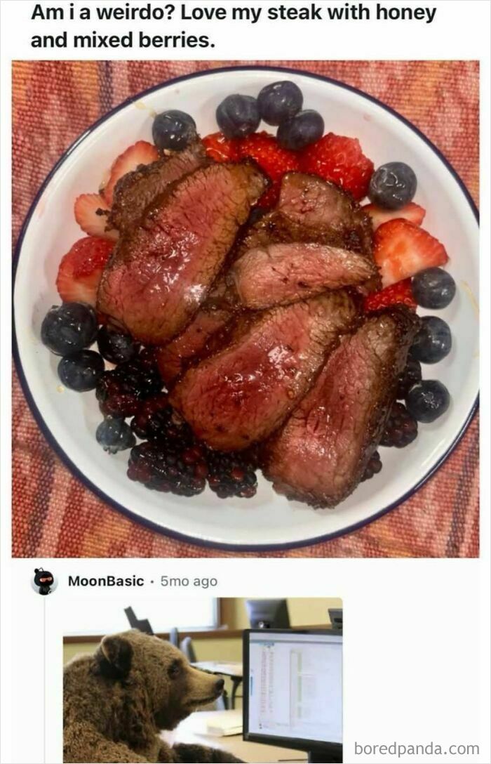 Wait, They Actually Made These Memes? The Most Random Laughs You Didn’t Know You Needed