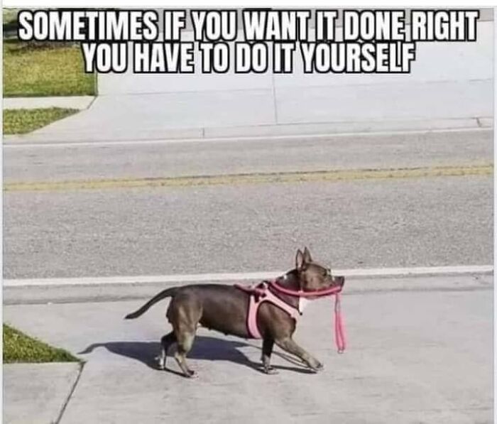 These 50 Dog Memes Will Totally Crack You Up (You’re Welcome)