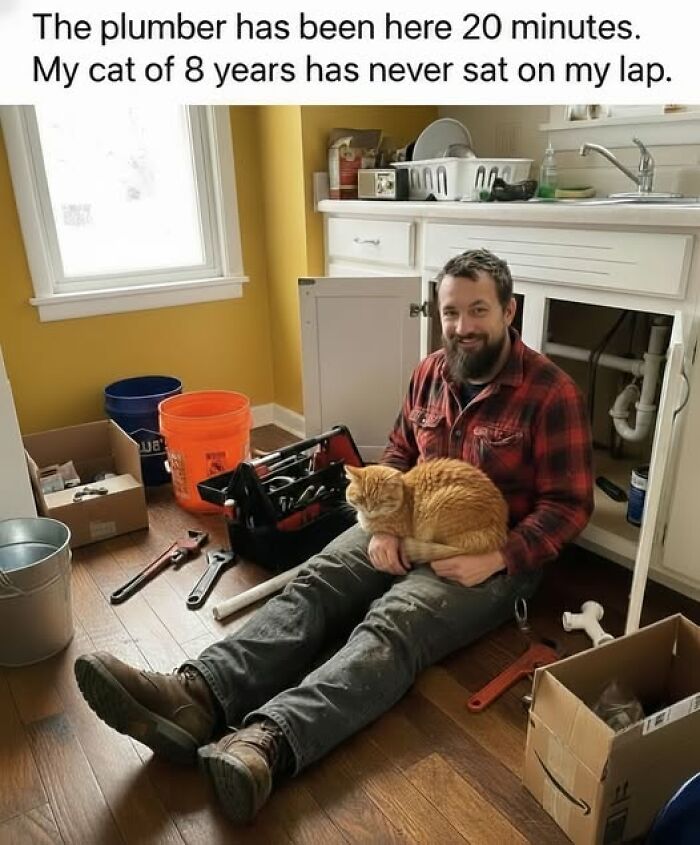 The 50 Funniest Memes To Boost Your Mood Right Now