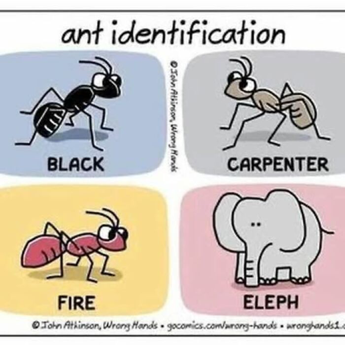 The 50 Funniest Memes To Boost Your Mood Right Now