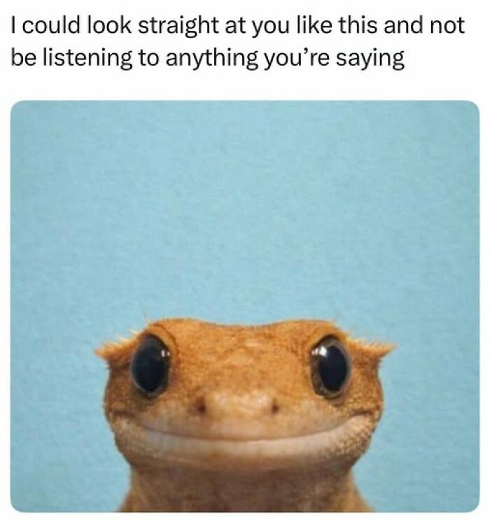 The 50 Funniest Memes To Boost Your Mood Right Now