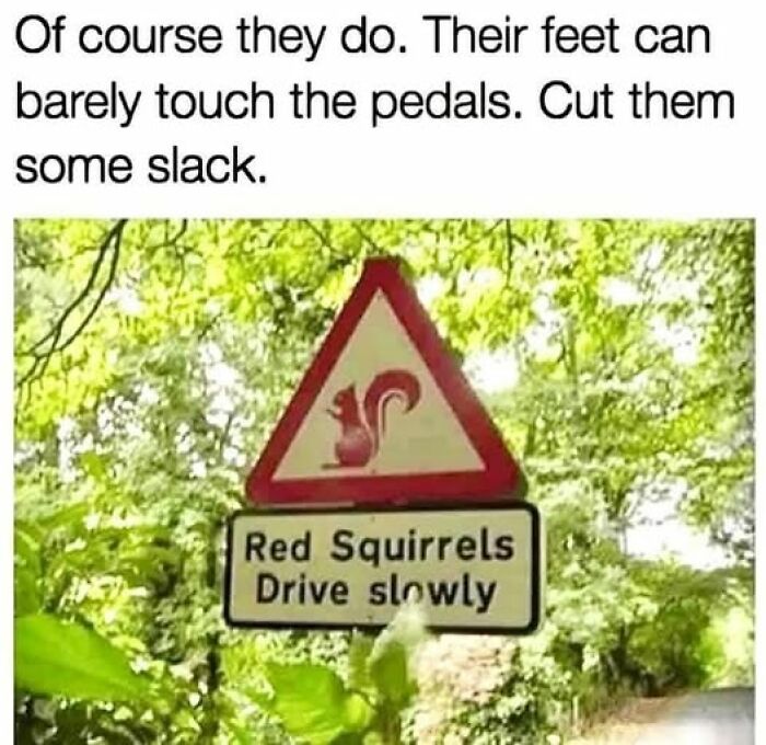 The 50 Funniest Memes To Boost Your Mood Right Now