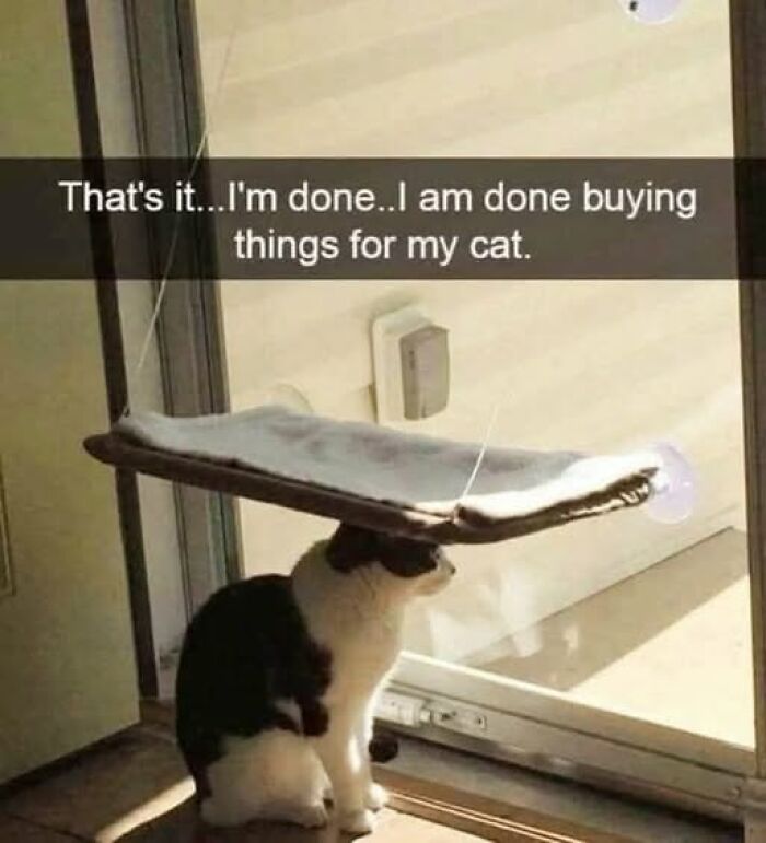 The 50 Funniest Memes To Boost Your Mood Right Now