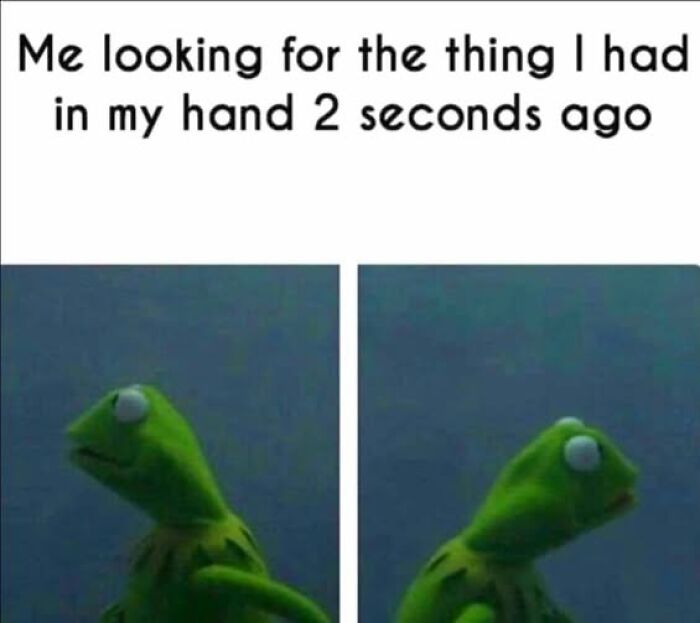 The 50 Funniest Memes To Boost Your Mood Right Now