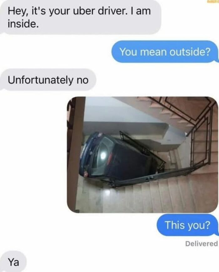 The 50 Funniest Memes To Boost Your Mood Right Now