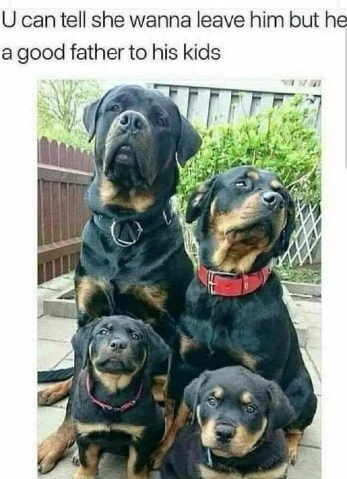 The 50 Funniest Memes To Boost Your Mood Right Now