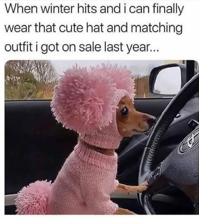 The 50 Funniest Memes To Boost Your Mood Right Now