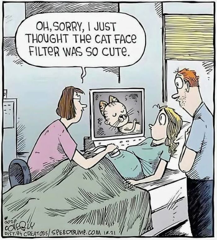 The 50 Funniest Memes To Boost Your Mood Right Now