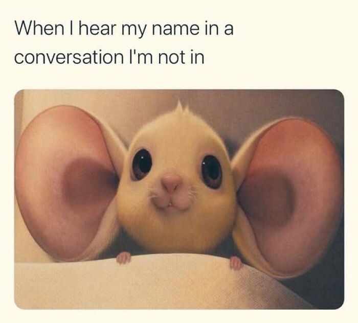 The 50 Funniest Memes To Boost Your Mood Right Now