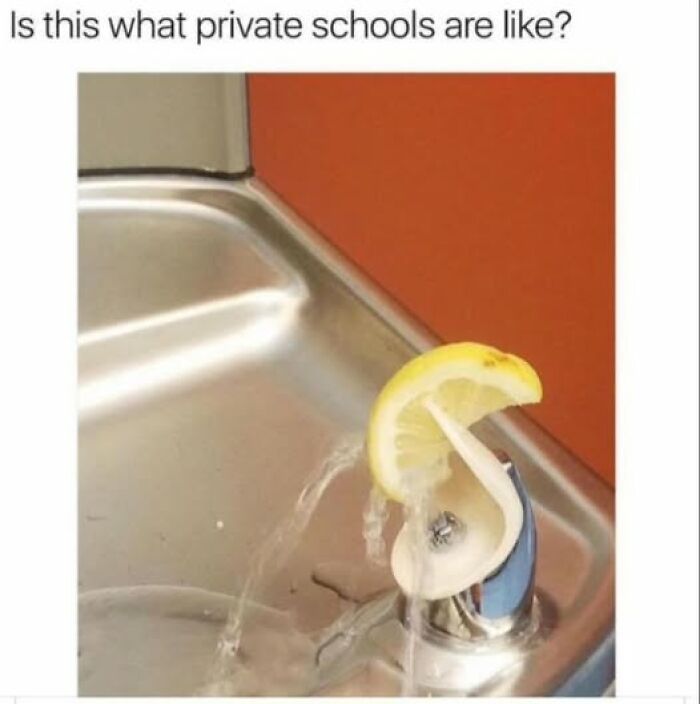 The 50 Funniest Memes To Boost Your Mood Right Now