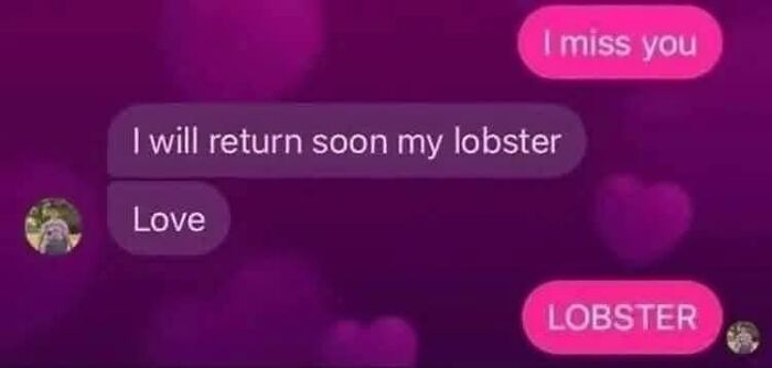 The 50 Funniest Memes To Boost Your Mood Right Now