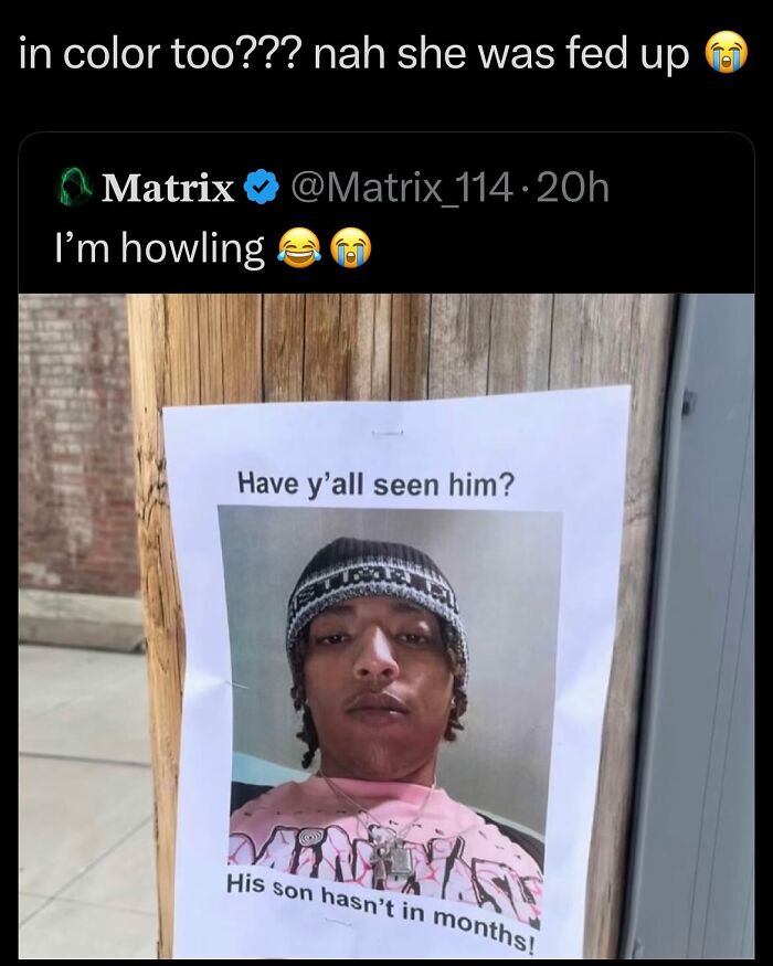 Wait, They Actually Ranked These Wild Tweets?!