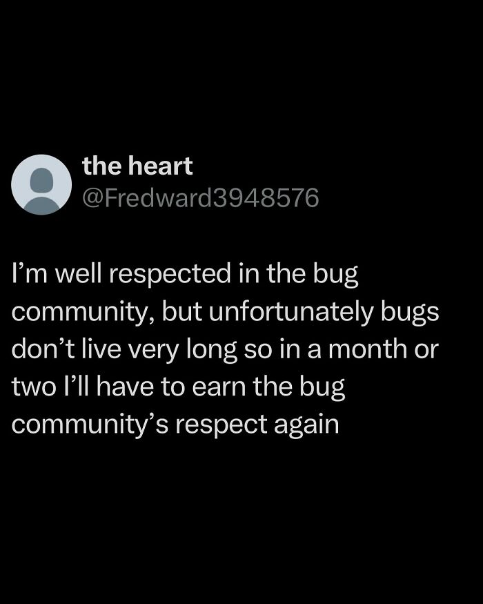 Wait, They Actually Ranked These Wild Tweets?!