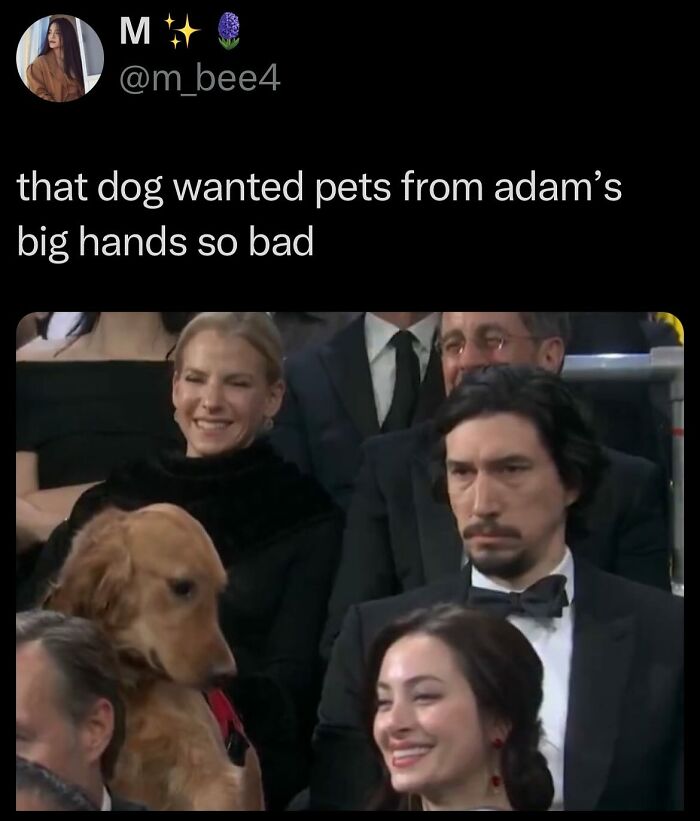 Wait, They Actually Ranked These Wild Tweets?!