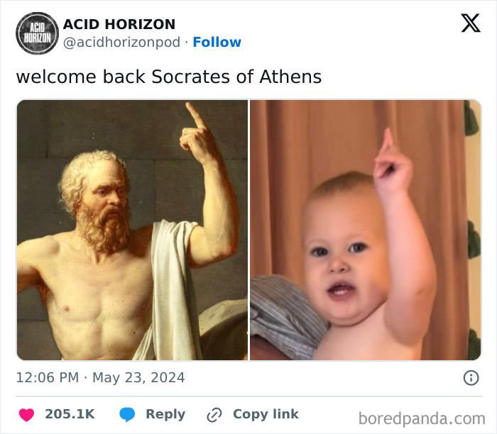 Wait, They Actually Ranked These Wild Tweets?!