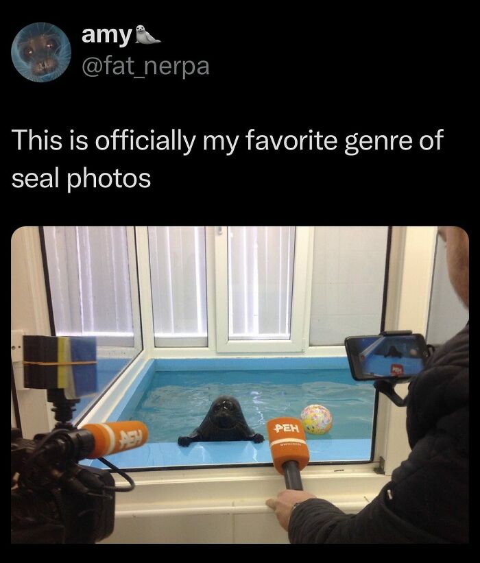 Wait, They Actually Ranked These Wild Tweets?!