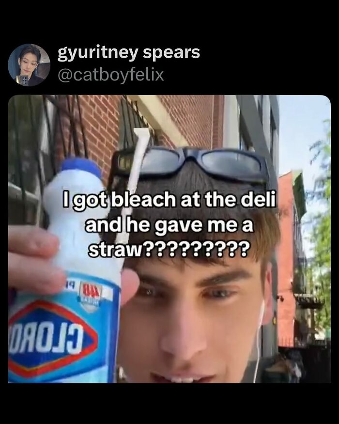 Wait, They Actually Ranked These Wild Tweets?!