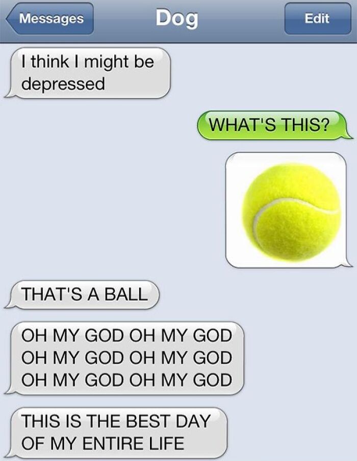 Texts Gone Wild: 50 Text Fails That Are Too Funny to Ignore