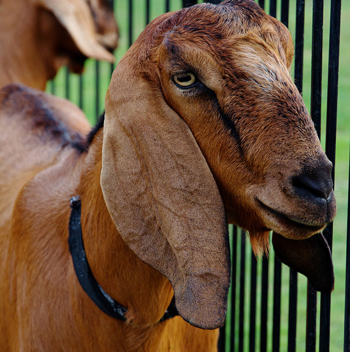 Wait Till You See These Wild Coworker Stories!