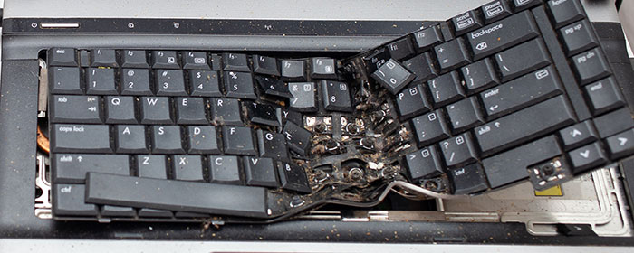 Wait Till You See These Wild Coworker Stories!