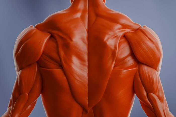 Wait, Autopsy Docs Are Sharing Their Wildest WTF Moments!