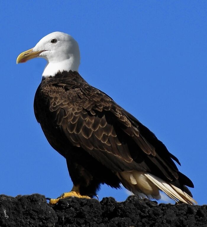 Wait, They Actually Ranked Photos That Are *This* Weird?