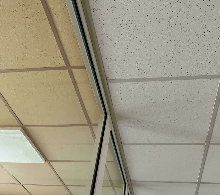 Check Out This Hair with 13 Ends. Yep, Thirteen!