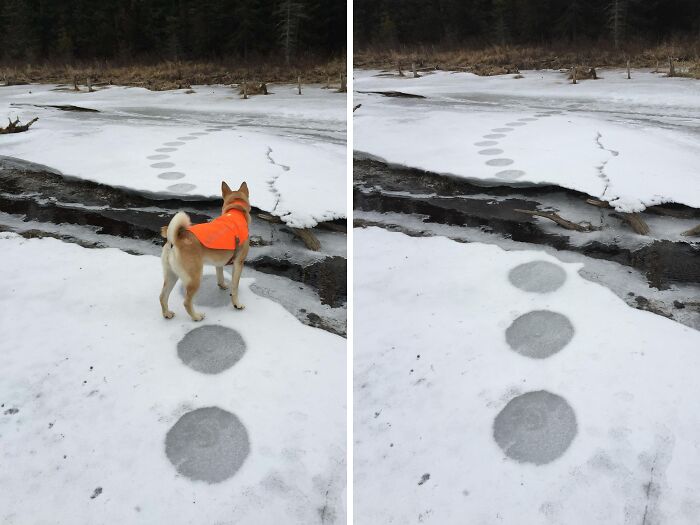 Wait... People Actually Shared These Quirky & Awesome Finds!