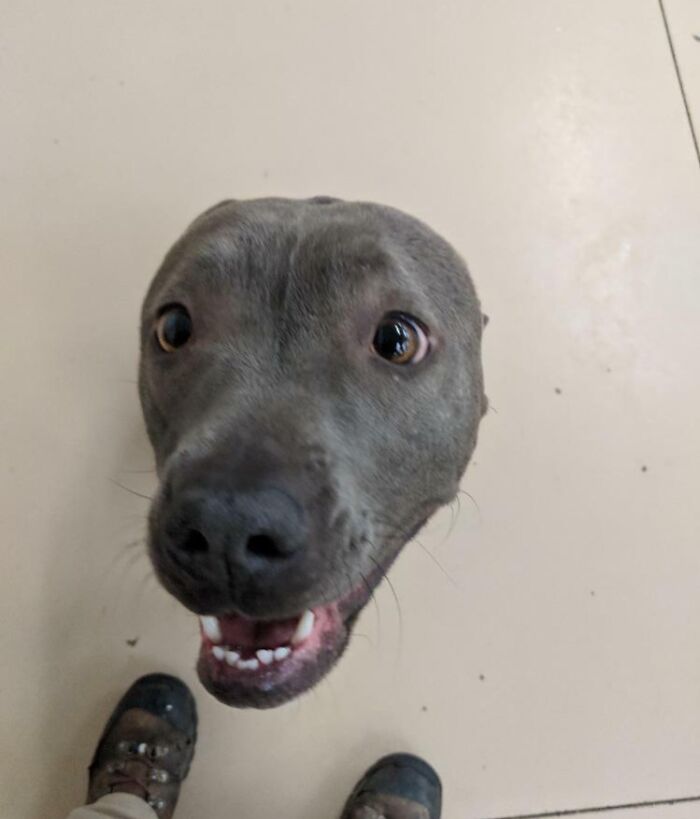 Wait... People Actually Shared These Quirky & Awesome Finds!