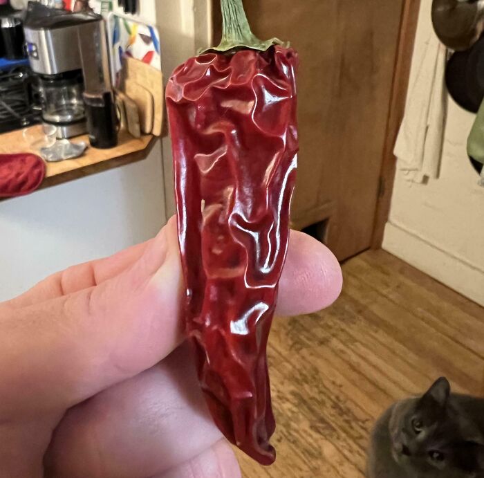 Wait... People Actually Shared These Quirky & Awesome Finds!