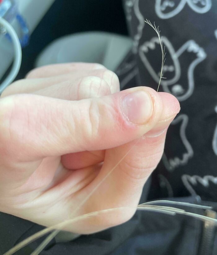 Wait... People Actually Shared These Quirky & Awesome Finds!