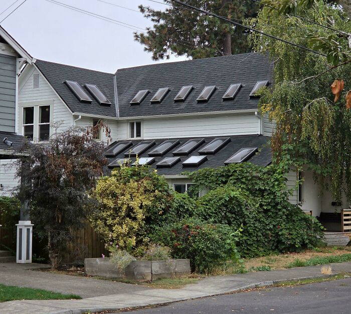 This House Went All Out with 18 Skylights!