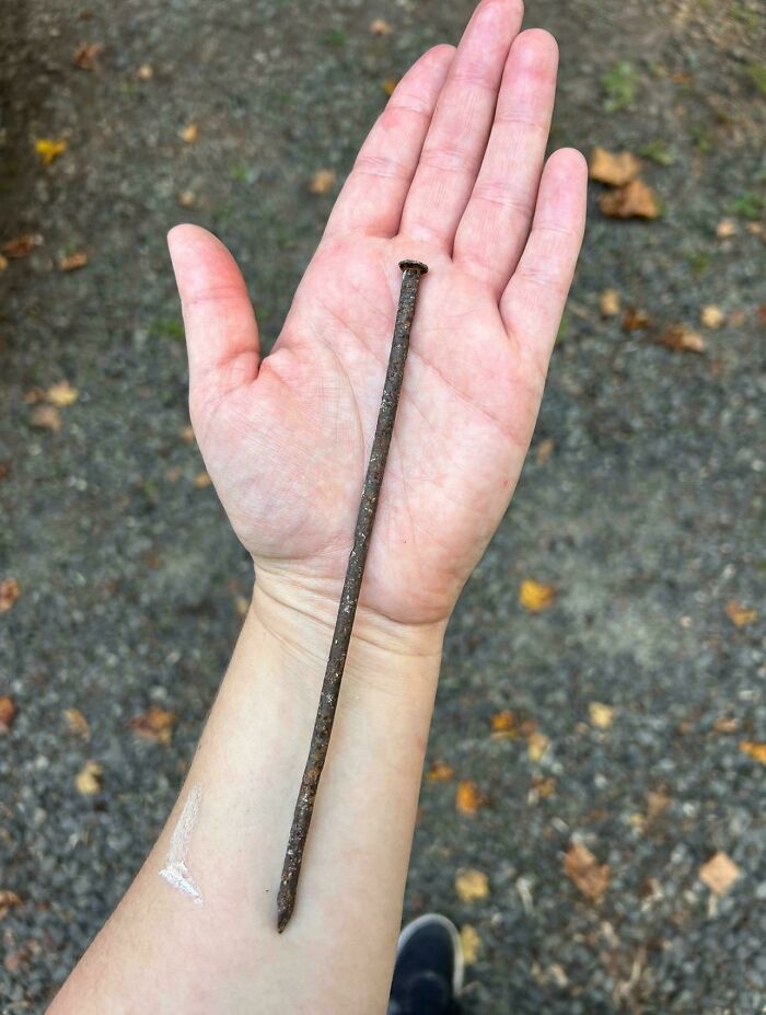 Found This Super Long Rusty Nail Just Chilling in My Gravel Driveway
