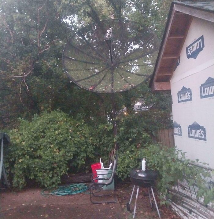 Grandma is Keeping Vintage Vibes with an Old Satellite Dish from the 70s