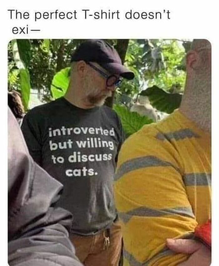 115 Cats Doing What Cats Do Best: Total Goofballs!