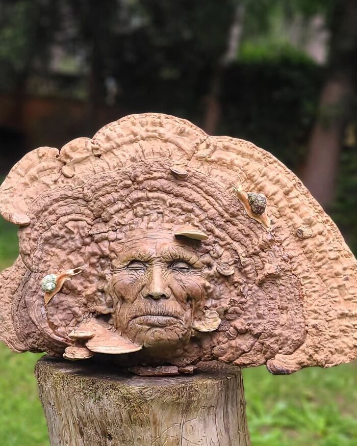 Cool Driftwood Sculptures That Look Like Nature’s Having a Party