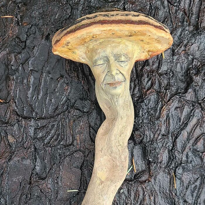 Cool Driftwood Sculptures That Look Like Nature’s Having a Party