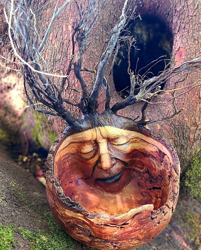 Cool Driftwood Sculptures That Look Like Nature’s Having a Party