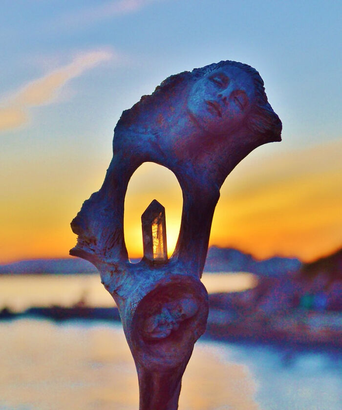 Cool Driftwood Sculptures That Look Like Nature’s Having a Party