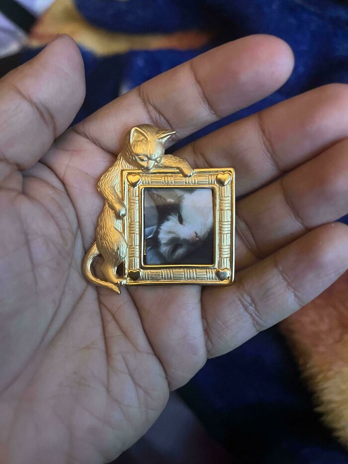 Hit Up an Oddities Thrift and Left With the Sweetest Brooch Ever